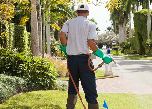 About Teigen MT Pest Control